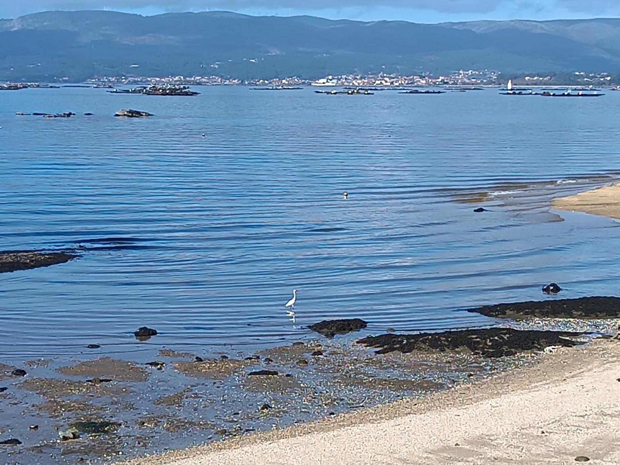 阿罗萨新镇Mirador Mar De Castelao, 1ª Linea De Playa Urbana公寓 外观 照片