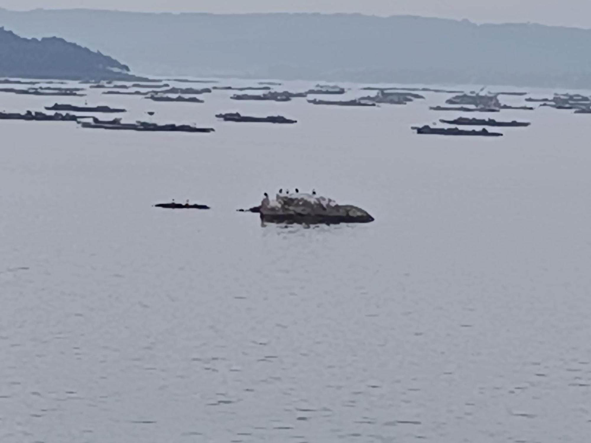 阿罗萨新镇Mirador Mar De Castelao, 1ª Linea De Playa Urbana公寓 外观 照片